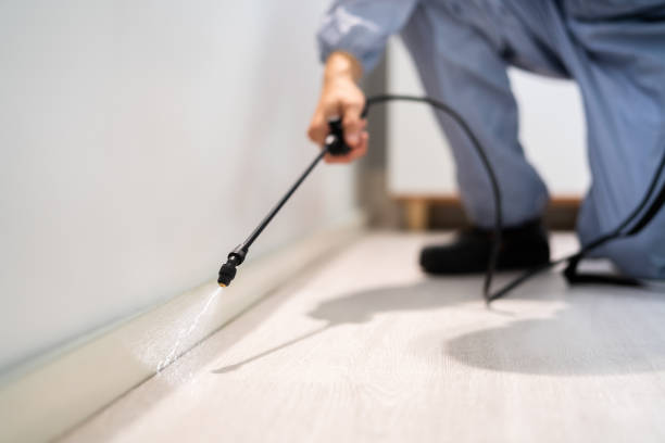 Licensed Cockroach Control service in Morgan County County, OH - Nex Pest Control